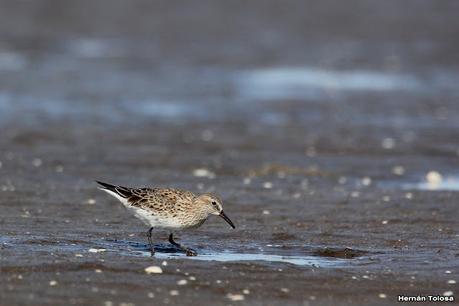 Recorrida por San Clemente del Tuyú y General Lavalle