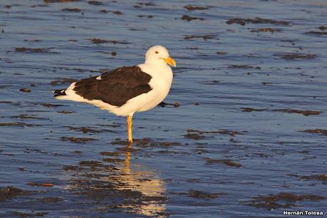 Recorrida por San Clemente del Tuyú y General Lavalle