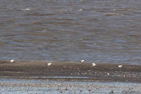 Recorrida por San Clemente del Tuyú y General Lavalle