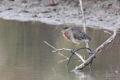 Recorrida por San Clemente del Tuyú y General Lavalle