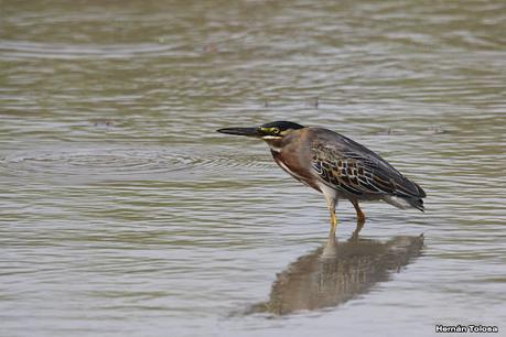 Recorrida por San Clemente del Tuyú y General Lavalle