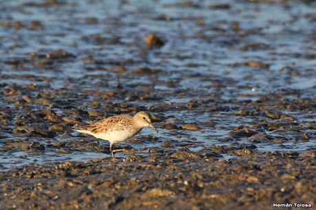 Recorrida por San Clemente del Tuyú y General Lavalle