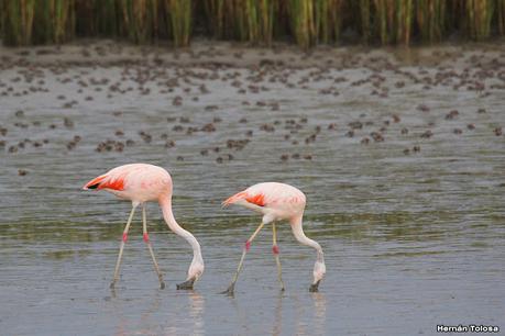 Recorrida por San Clemente del Tuyú y General Lavalle
