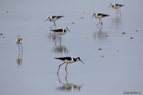 Recorrida por San Clemente del Tuyú y General Lavalle