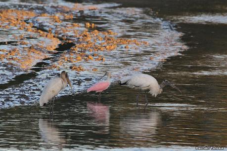 Recorrida por San Clemente del Tuyú y General Lavalle