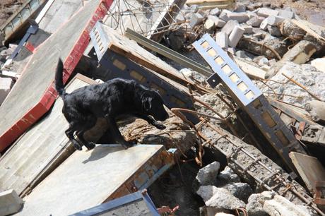 Método Arcón: el medio más eficaz que existe en búsqueda y detección para salvamento