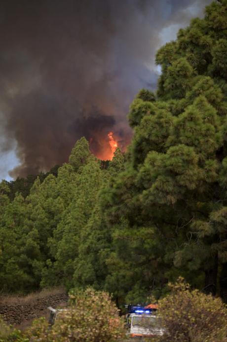 El número de muertos por los incendios en Hawái (EEUU) asciende a 110