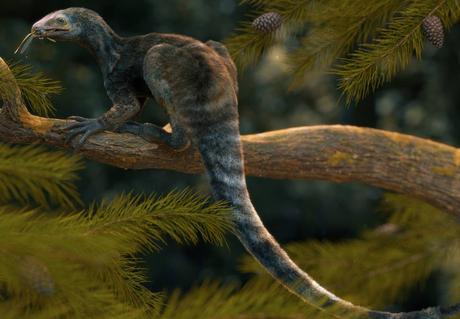Venetoraptor gassenae cambia el origen de dinosaurios y pterosaurios