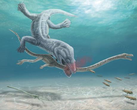 Venetoraptor gassenae cambia el origen de dinosaurios y pterosaurios