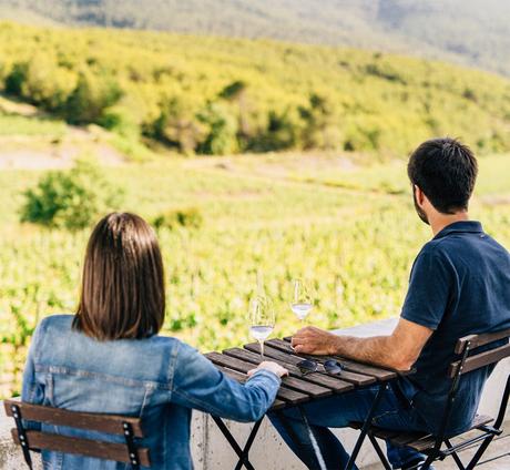 Cómo vivir y disfrutar de la vendimia en Catalunya Cómo vivir y disfrutar de la vendimia en Catalunya