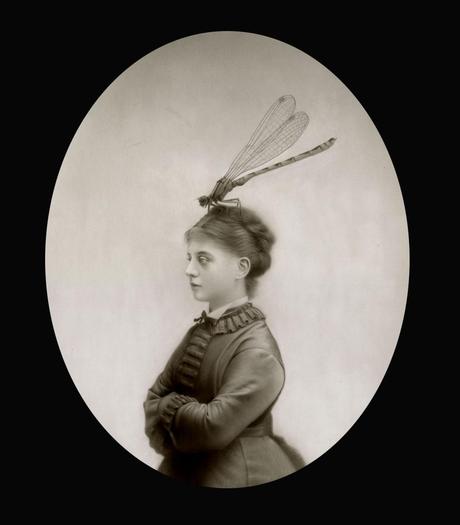 Travis A. Louie – Pinturas (III)