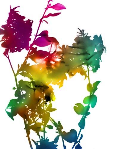 Color y luz se transforman en la fotografía de James Welling