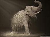 efecto desertificación