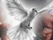 Dios siempre esta presente