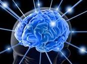 Nuevas Dianas Terapéuticas contra Epilepsia