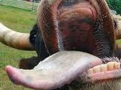 principales teorías económicas