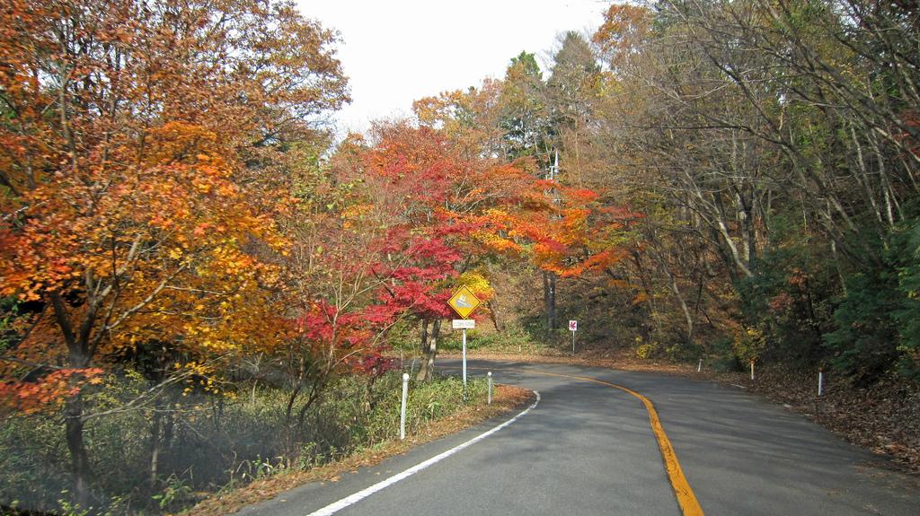 Kinugawa - Ryuokyo