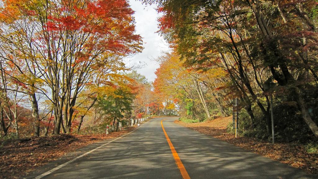 Kinugawa - Ryuokyo