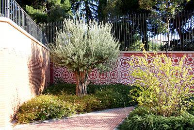 Jardines Secretos de Madrid (II)