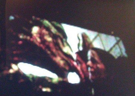 lizard imagen del trailer.jpg