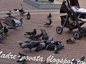 Quiero Coche, Brazos!!!