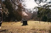 las células inmortales (I) Photobucket