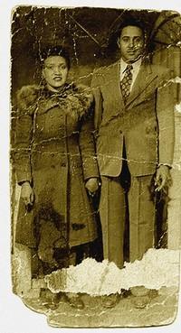 las células inmortales (I) Photobucket