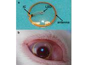 Lentillas ordenador incorporado