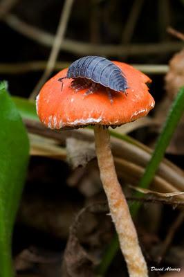 ¿Estamos a setas o estamos a Rolex?