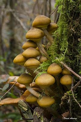 ¿Estamos a setas o estamos a Rolex?