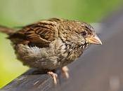 verdad quieres productivo?