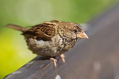 ¿De verdad quieres ser más productivo? ¿De verdad quieres ser más productivo?