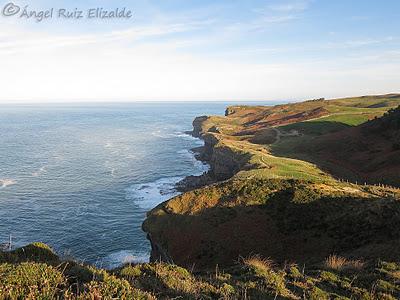 Poco richardi aún...