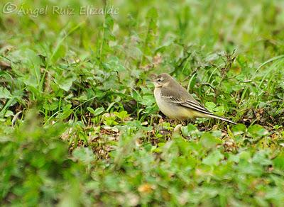 Unas imágenes de estos últimos días...