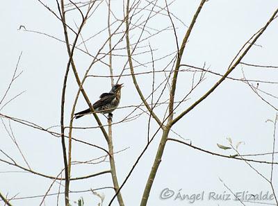 Unas imágenes de estos últimos días...