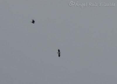 De los últimos días...