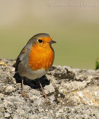 De los últimos días...