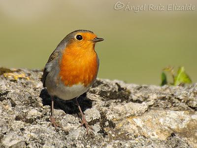 De los últimos días...