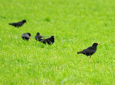 De los últimos días...