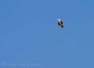 De los últimos días...