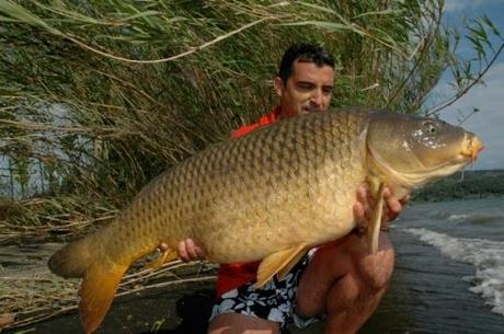 CARPA DEL LAGO BOLSENA WORLD CARP CLASSIC 2012