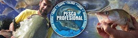 guias de pesca siluro WORLD CARP CLASSIC 2012