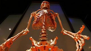 Crean una impresora 3D que regenera los huesos Crean una impresora 3D que regenera los huesos