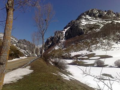 Frases para la historia XII