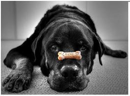 Un sabio jesuita y el autocontrol Un sabio jesuita y el autocontrol