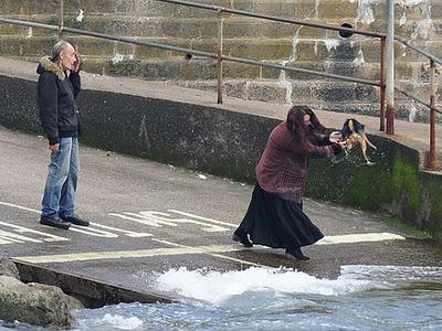 Perro maltratado lanzado al mar