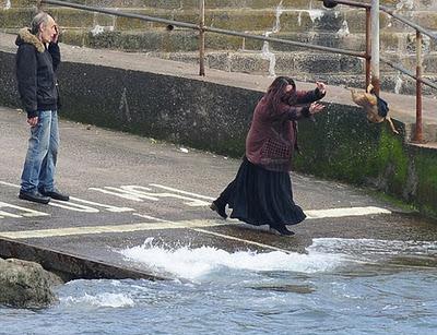 Perro maltratado lanzado al mar