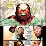 hulkthe2008045_int_lr_0004