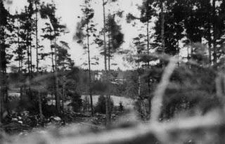 La Batalla de Hanko: Una sangrienta retirada bolchevique - 03/12/1941.