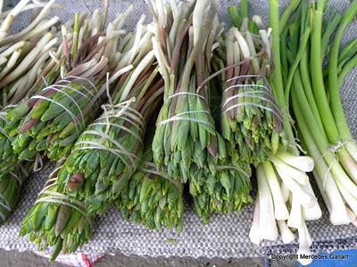 NAGORNO KARABAGH: LA REPUBLICA INDEPENDIENTE NO RECONOCIDA